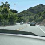 DSC_0147_01 (May 16, 2020)